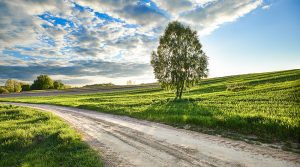 rural road