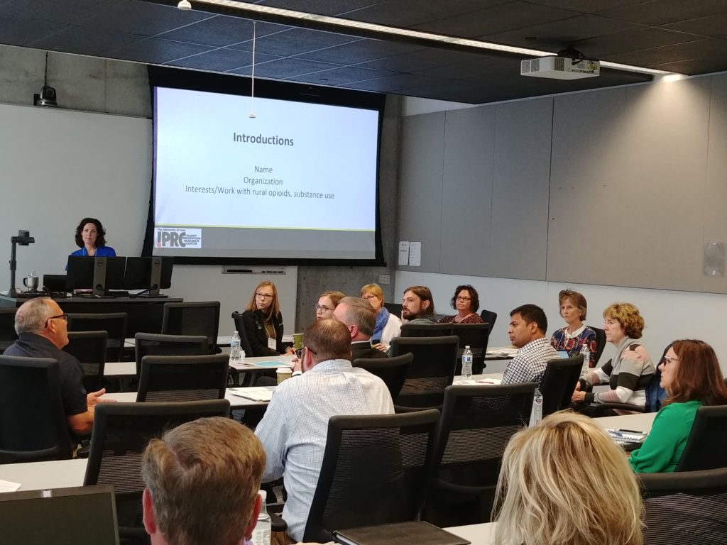 UI IPRC Associate Director Carri Casteel leads the rural overdoses stakeholder meeting in Des Moines, September 23, 2019.