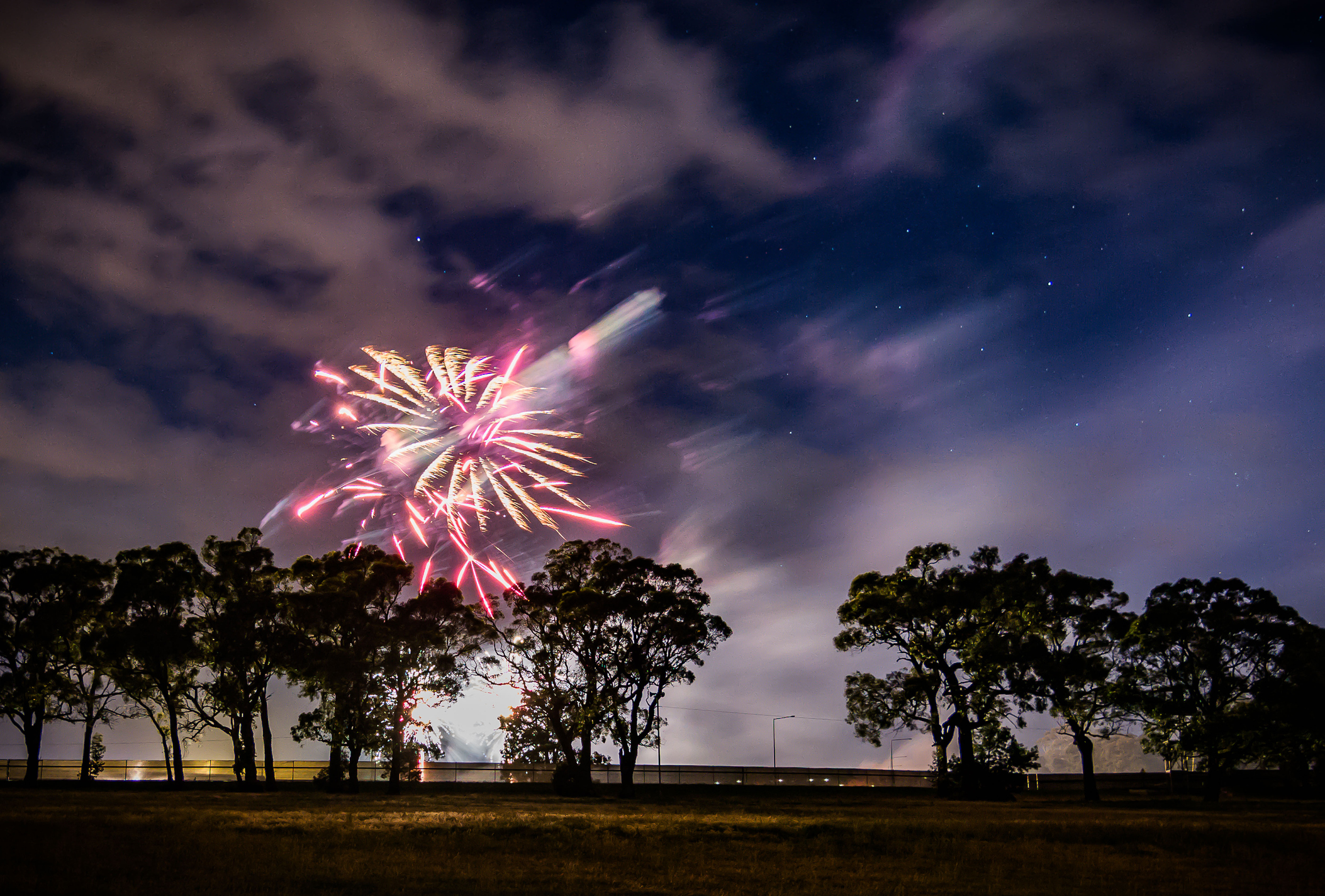 Fireworks over trees