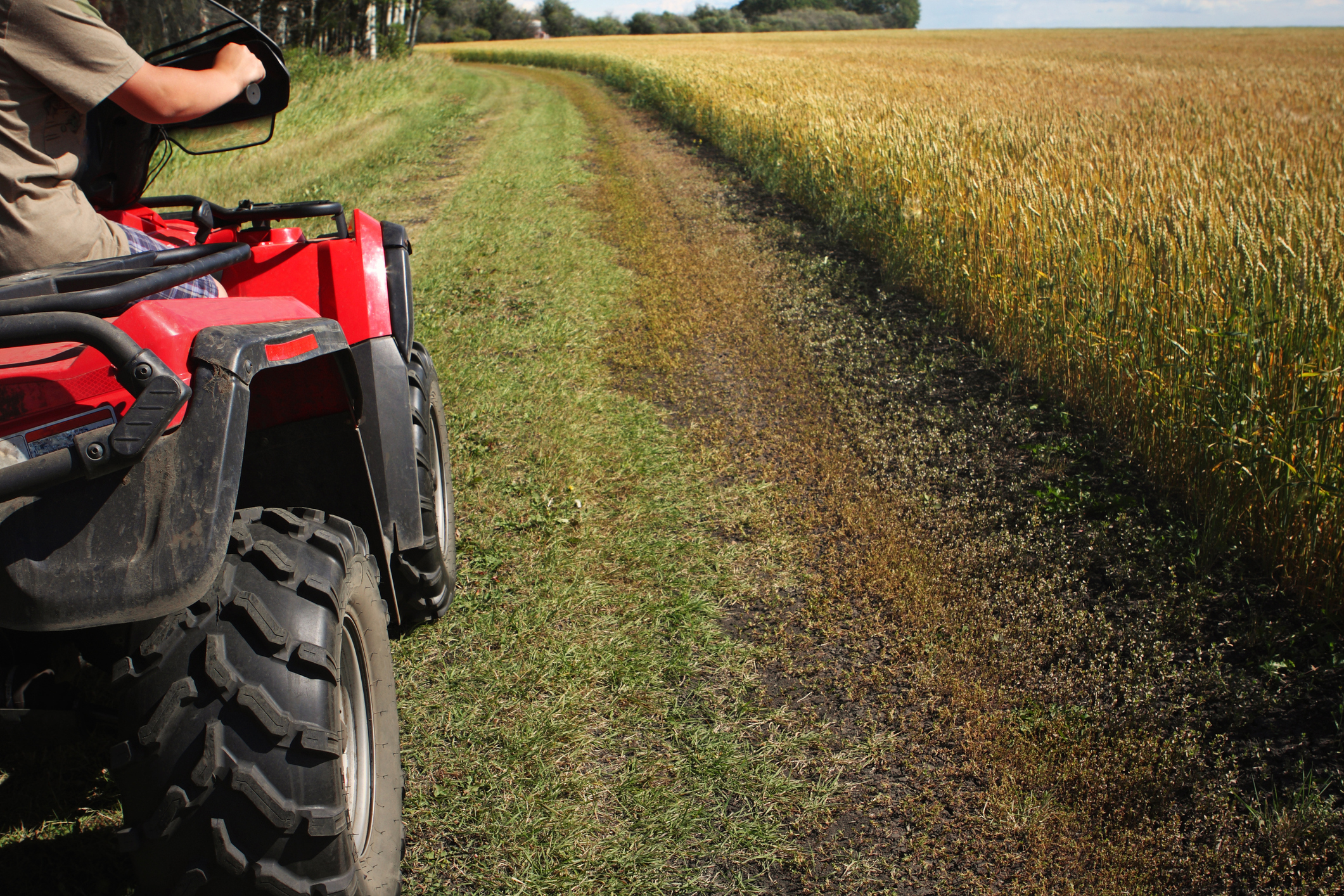 a teen on an ATV driving on a lane checking out the crop in the field