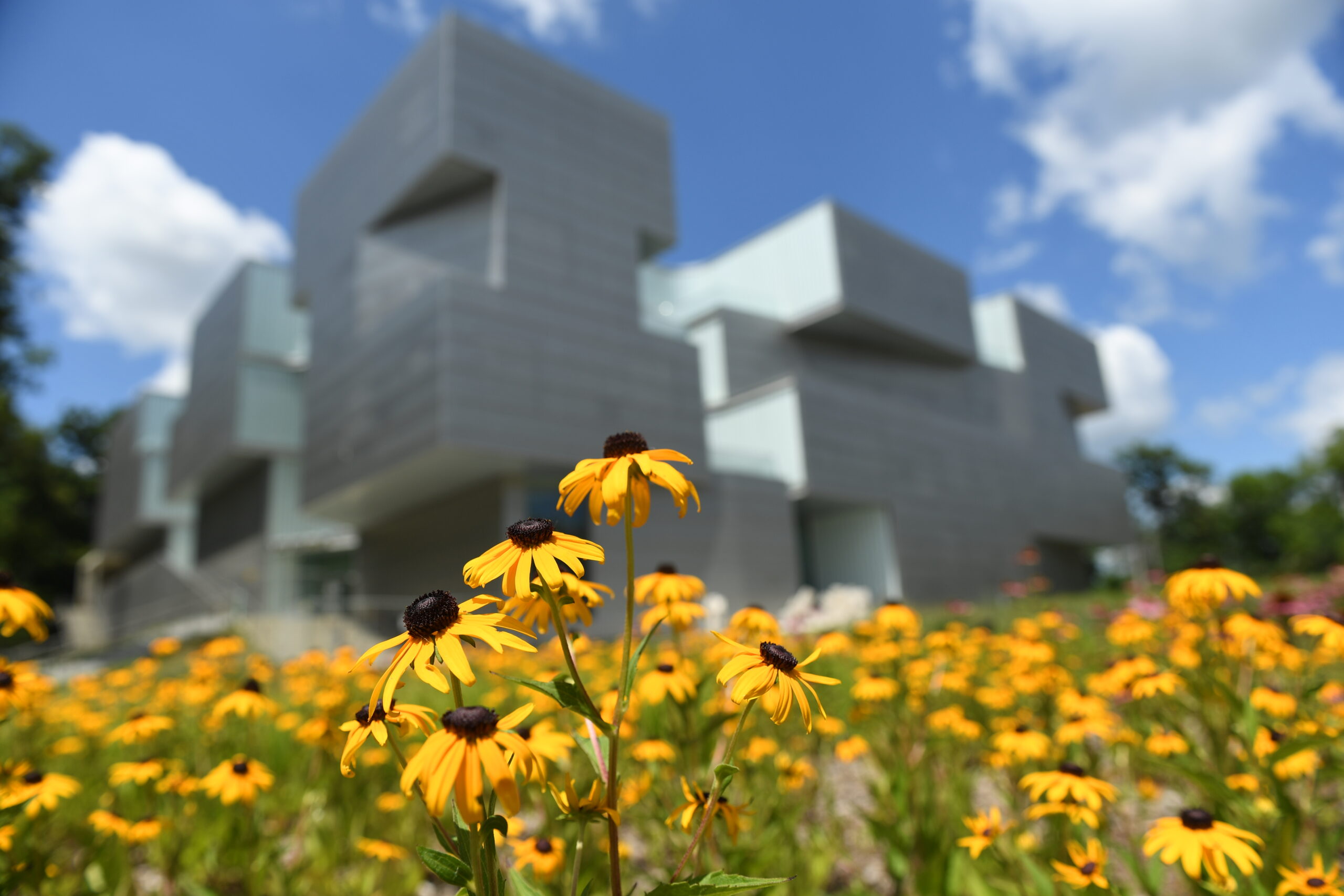 Even the flowers outside of the new Visual Arts Building have school sprit. Go, Hawks!