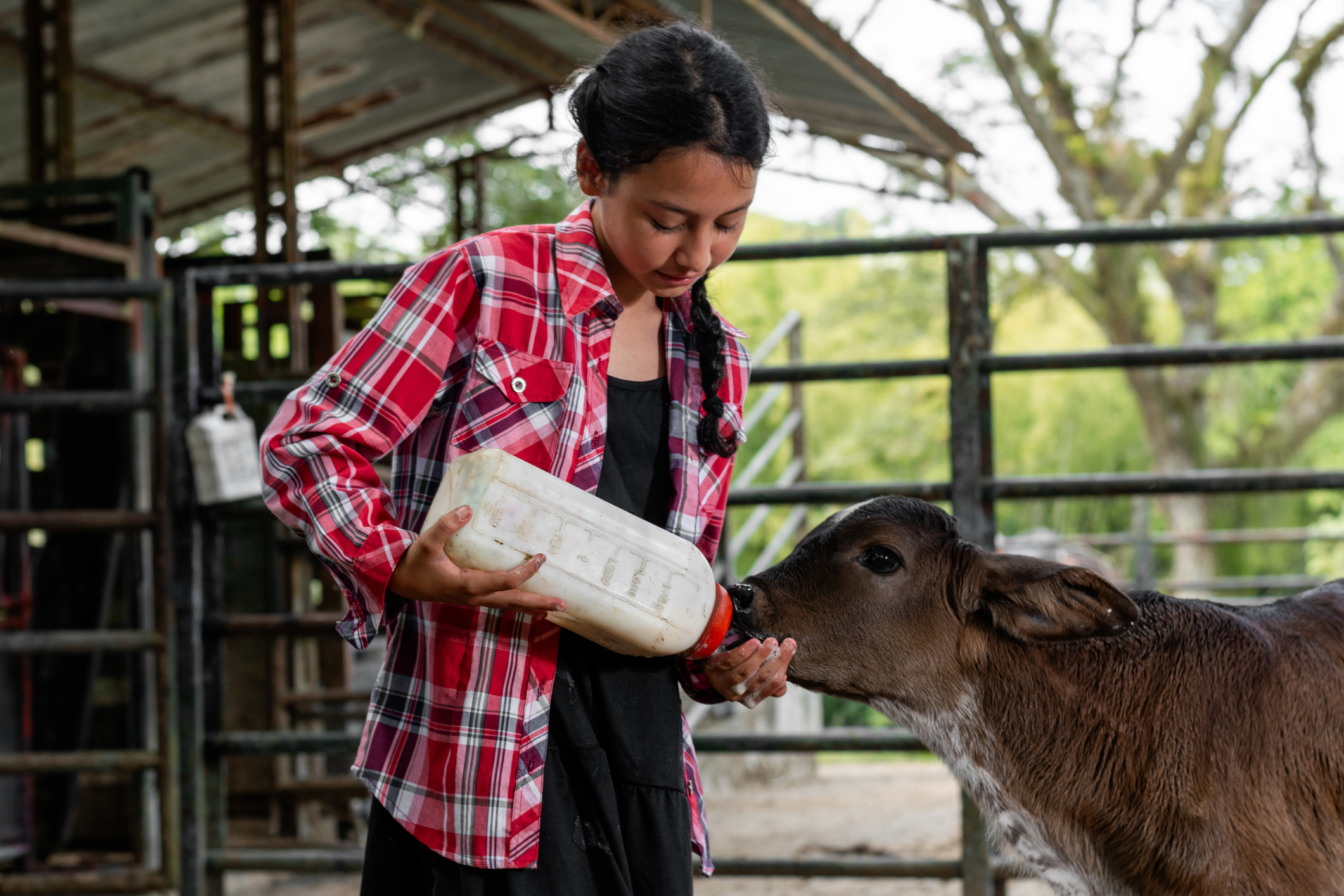 Pediatric agricultural injuries: An interview with Jenna Gibbs